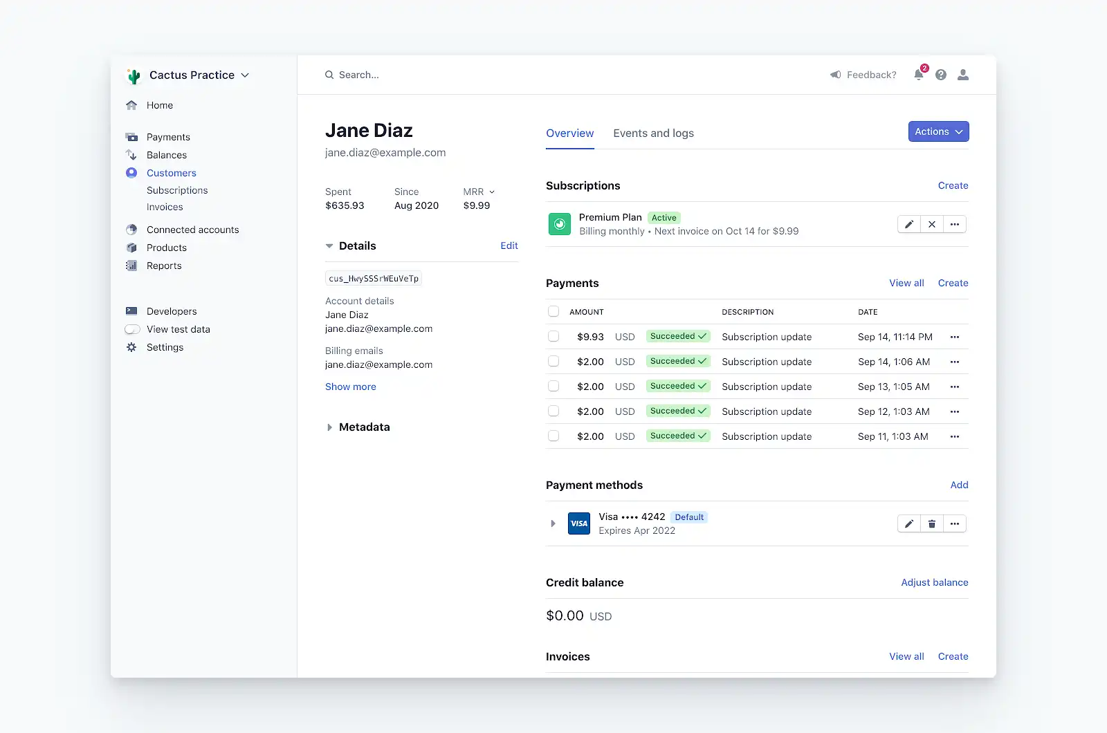 Managing Payments with Stripe Dashboard