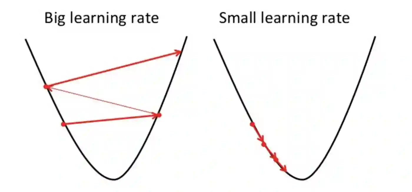 Learning Rate