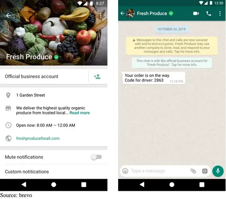 What do you Need to Verify your WhatsApp Business Account?