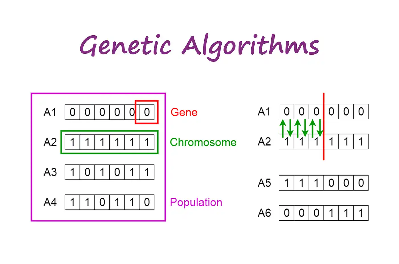 Genetic Algorithm