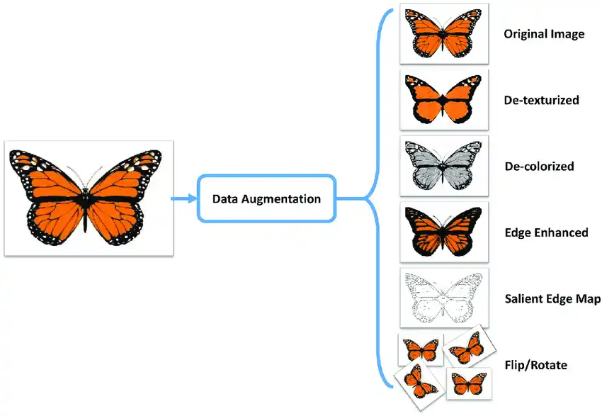 Data Augmentation