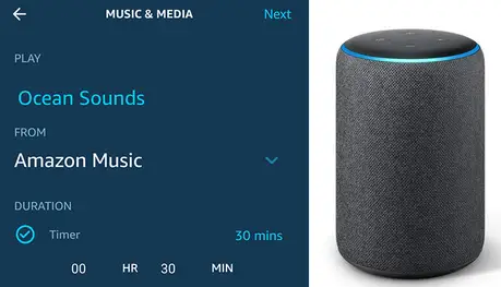 Alexa music control commands