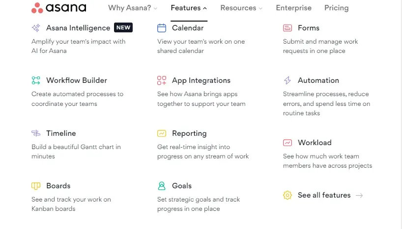 Asana's Key Features 