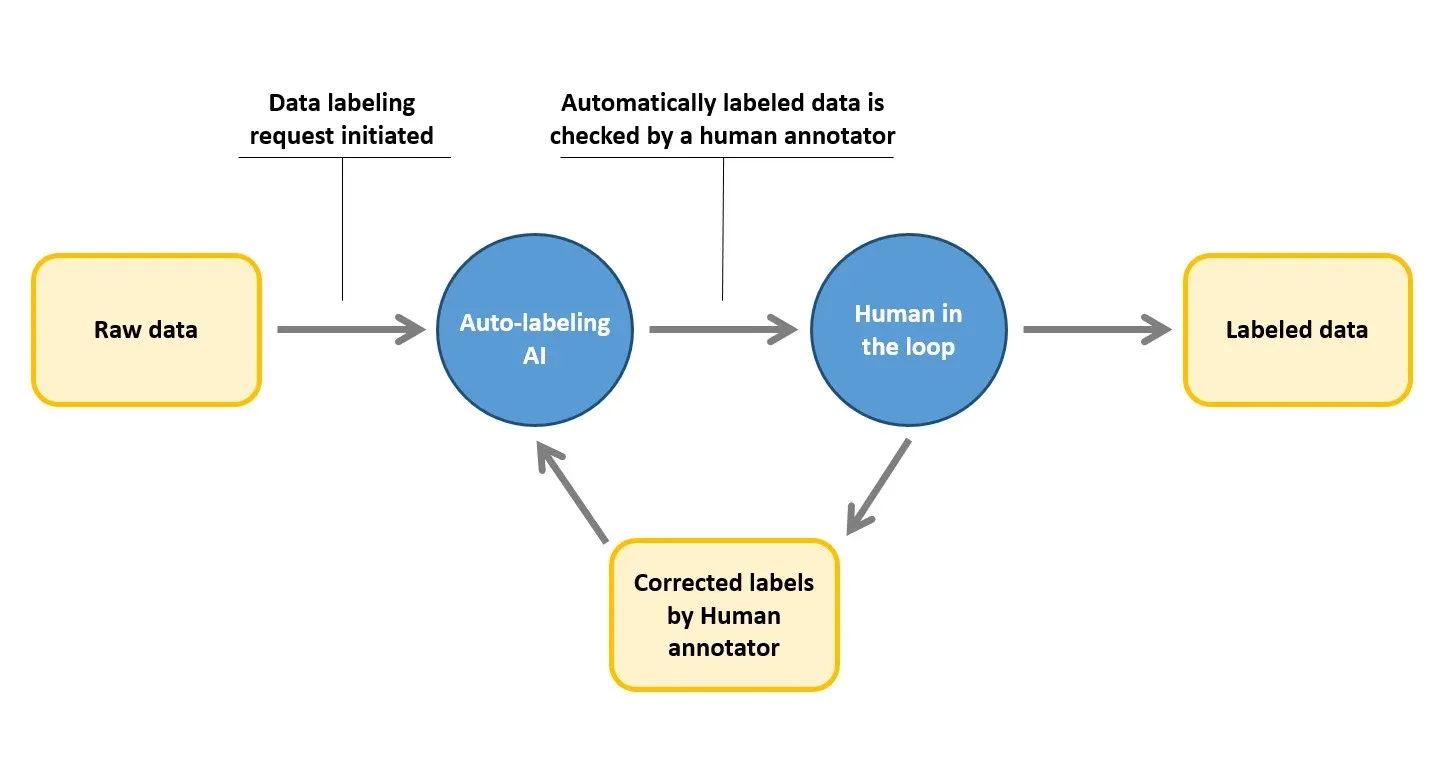 Automated Data Labeling