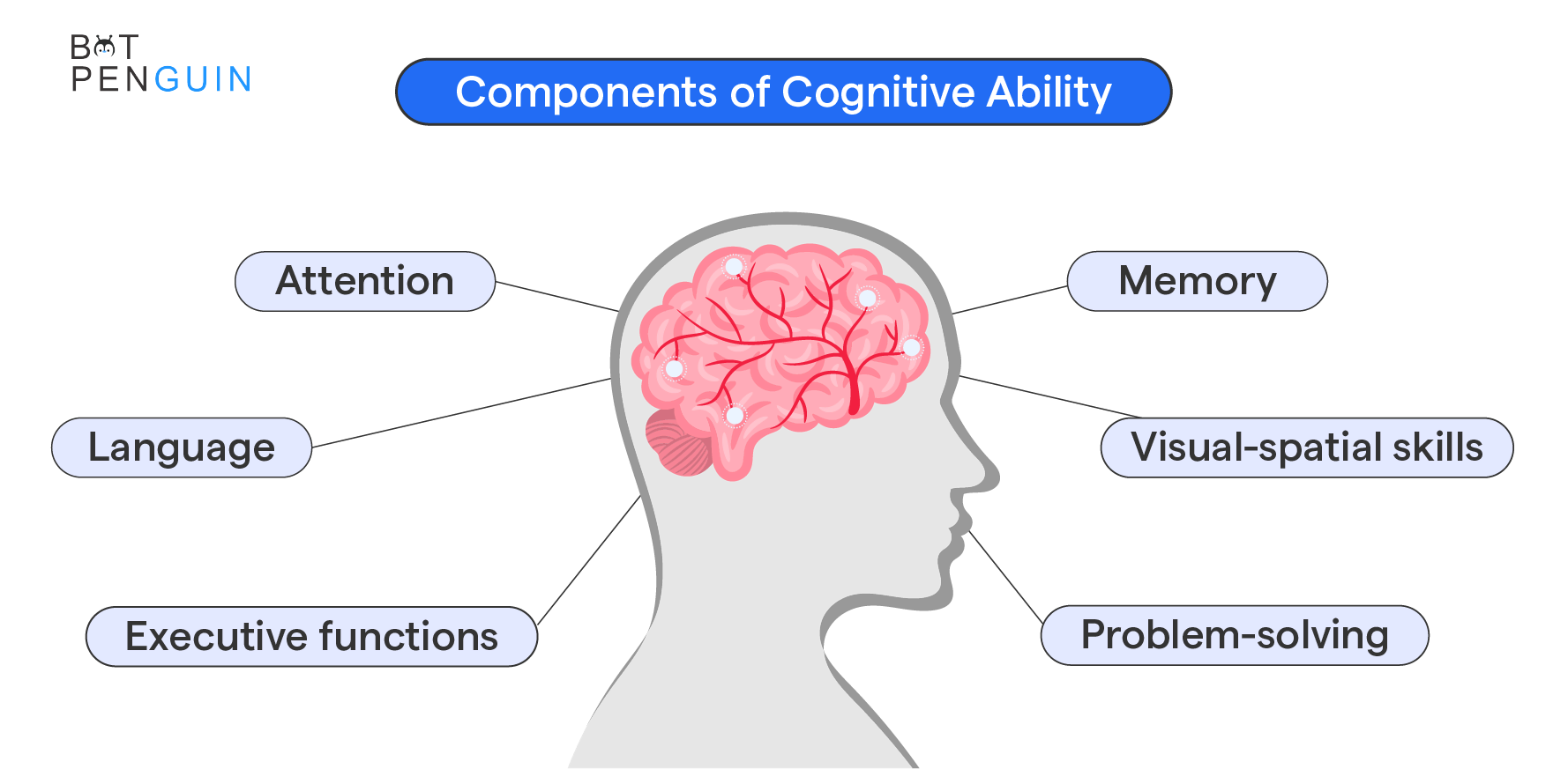 Components of Cognitive Ability