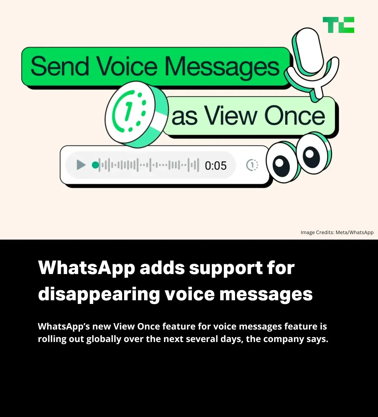 Disappearing Voice Messages