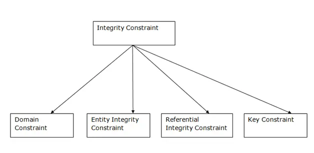What are Entity Constraints?