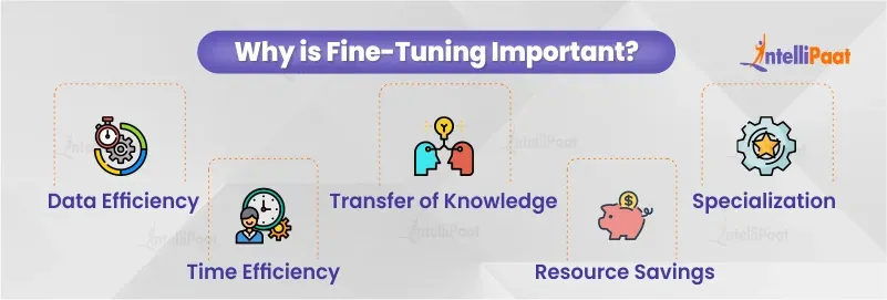 Why Fine-tuning is Important?