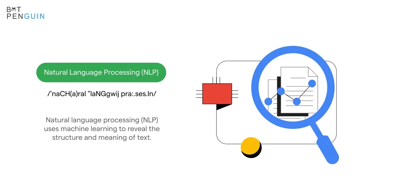 Natural Language Processing (NLP)