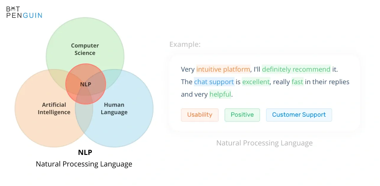 Natural Processing Language.webp