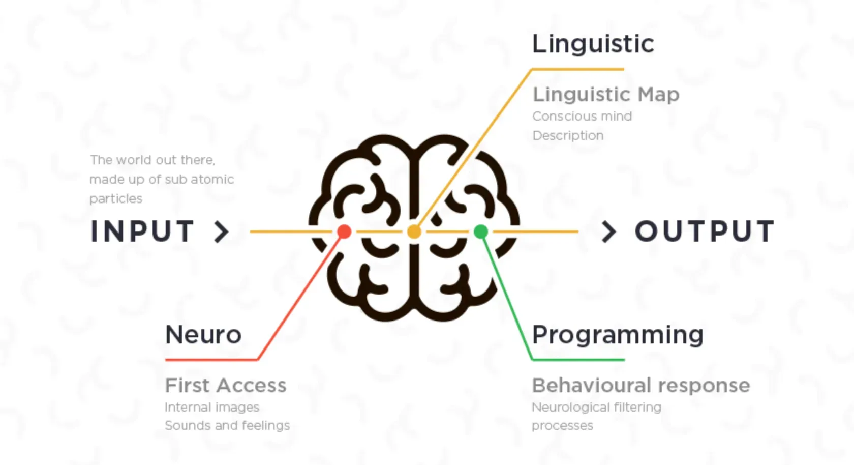 How to use Neuro-Linguistic Programming?
