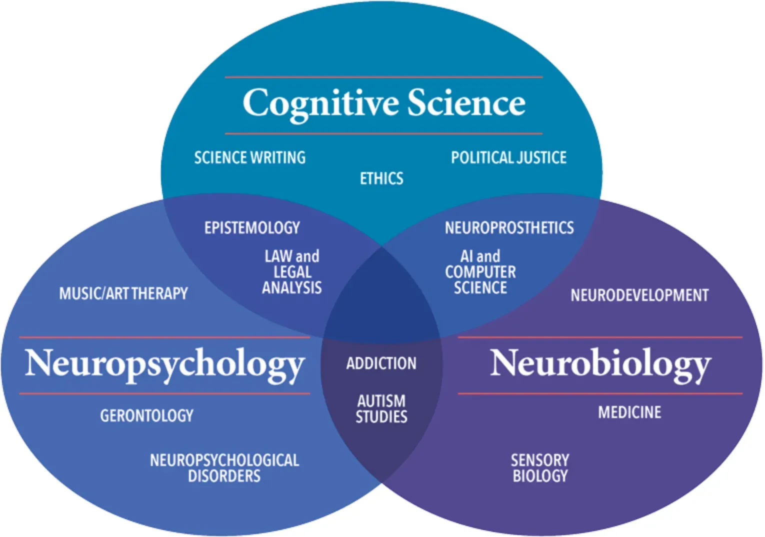Neuroscience in Cognitive Science