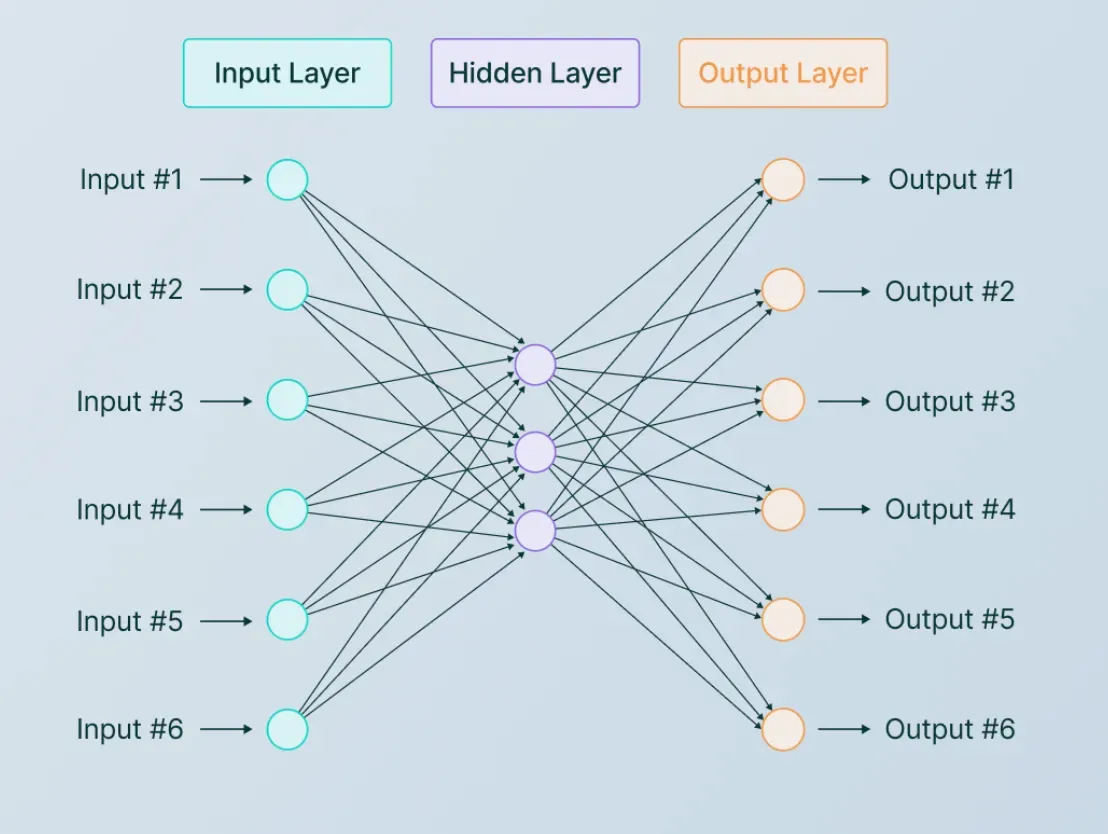 The Neural Architecture