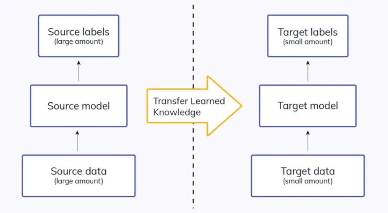 Types of Transfer Learning