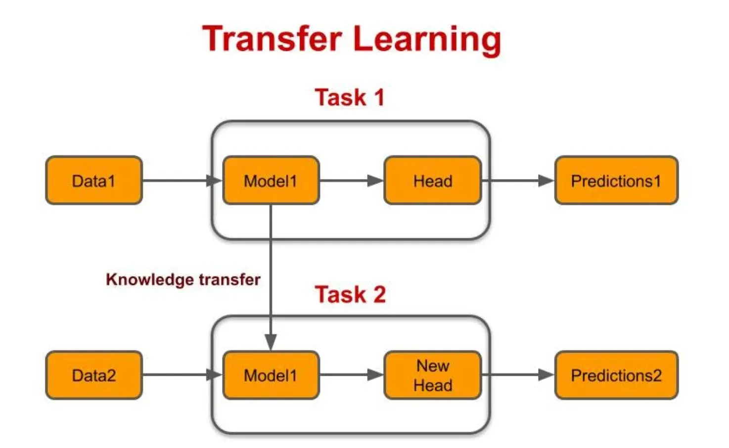 The Process of Transfer Learning
