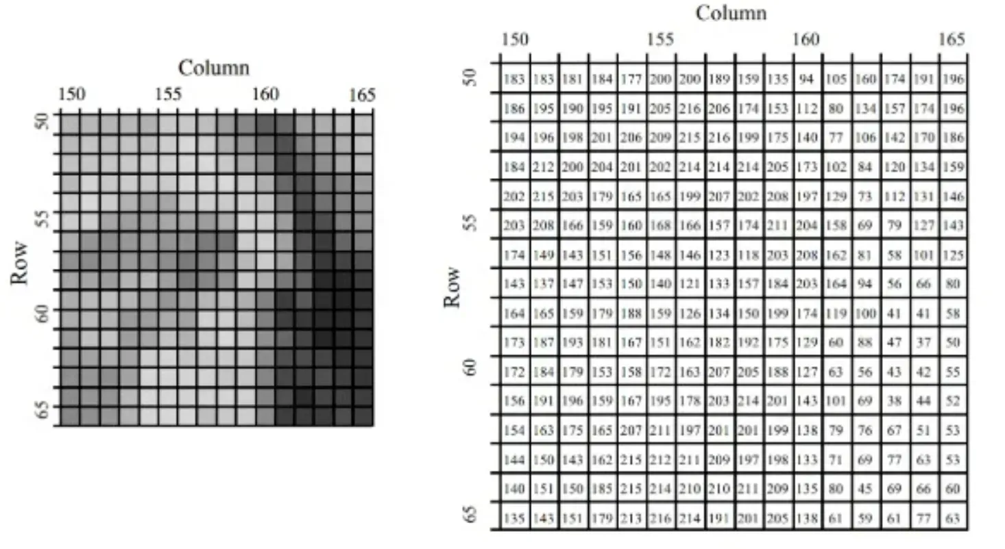 Best Practices in Image Processing