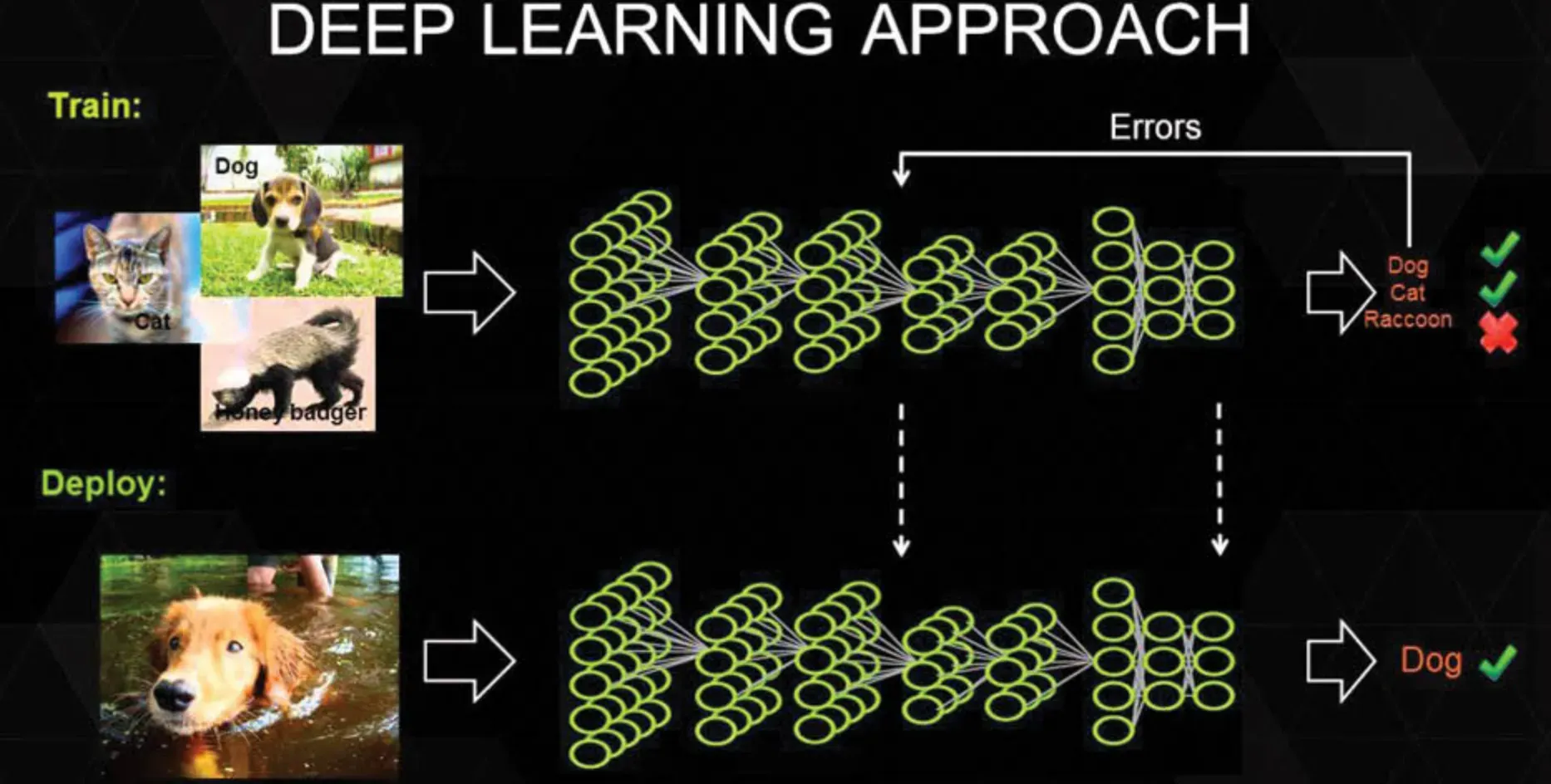 Trends and Future Directions in Image Processing