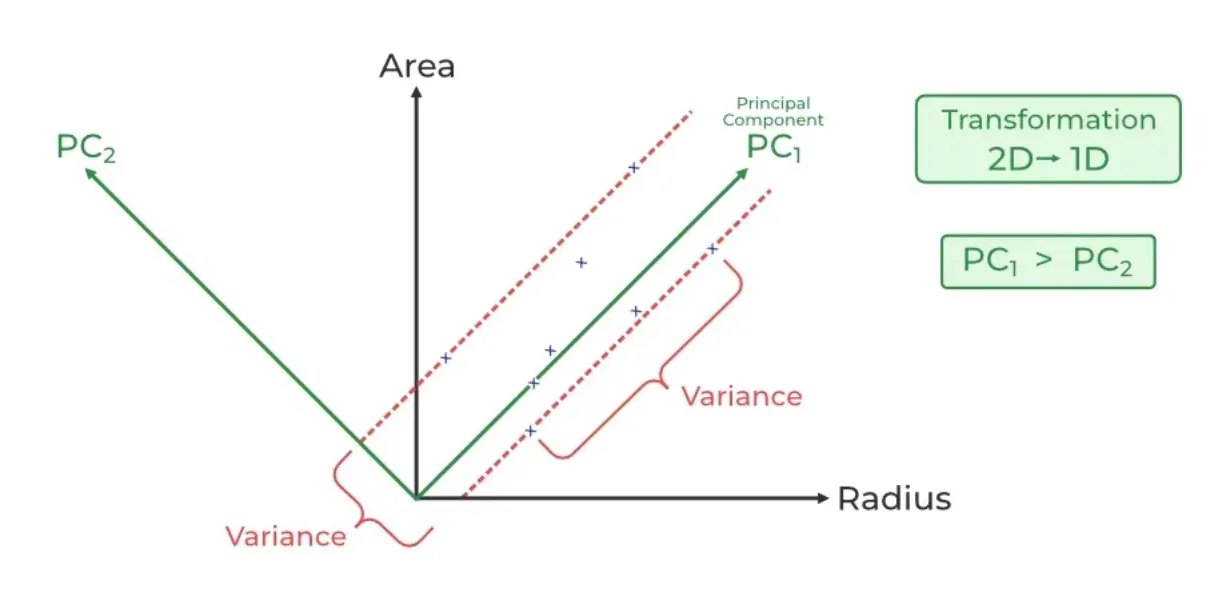 Where is Principal Component Analysis Used?