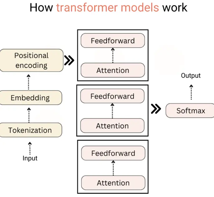 Decoding the Magic of NLP Transformer Models