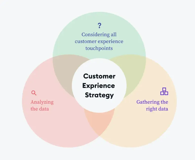 Develop a CX Strategy