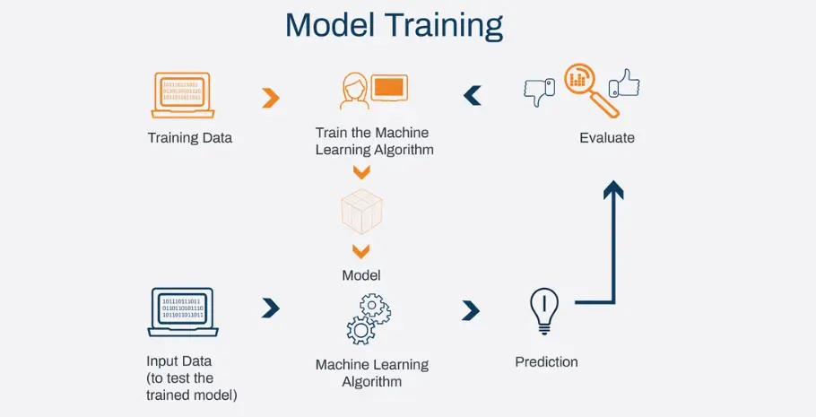 Training the Model