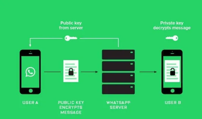 Understanding WhatsApp Business API