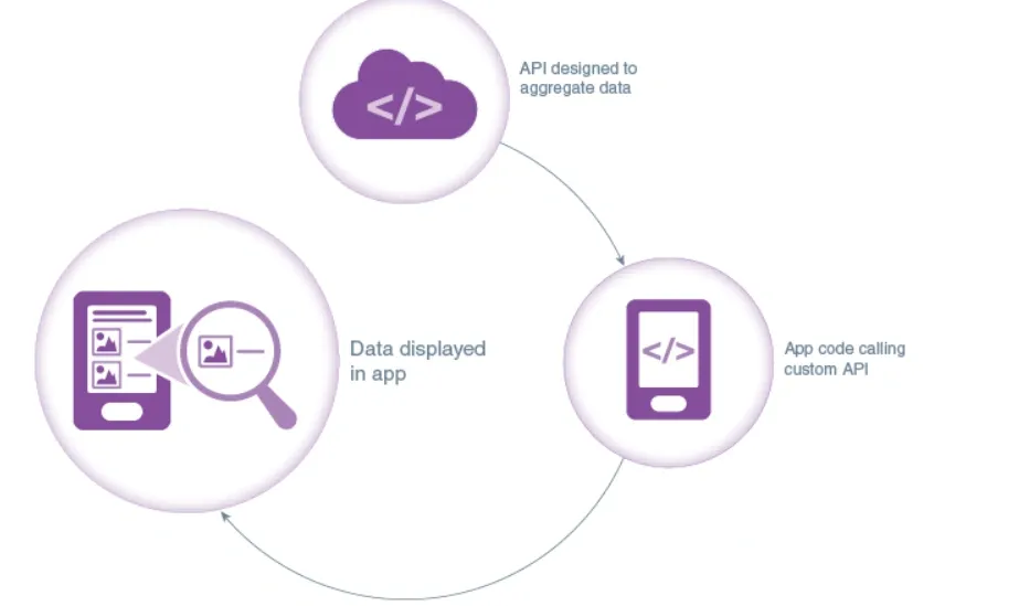 Customization of the API