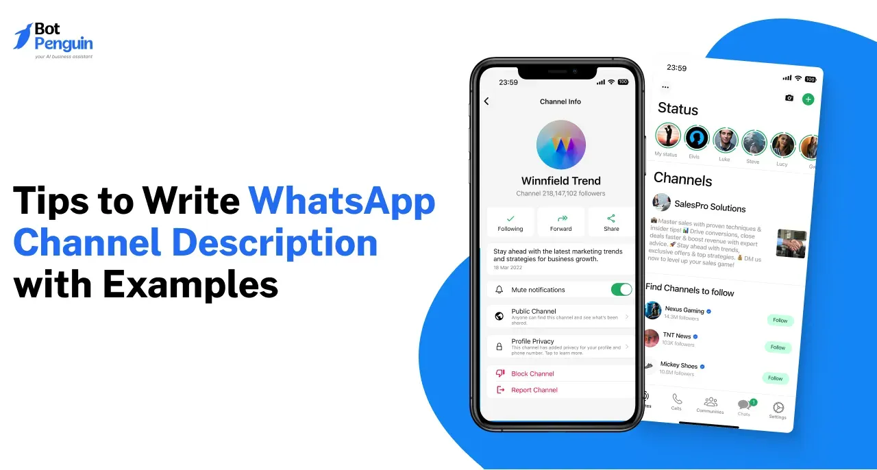 Tips to Write WhatsApp Channel Description with Examples