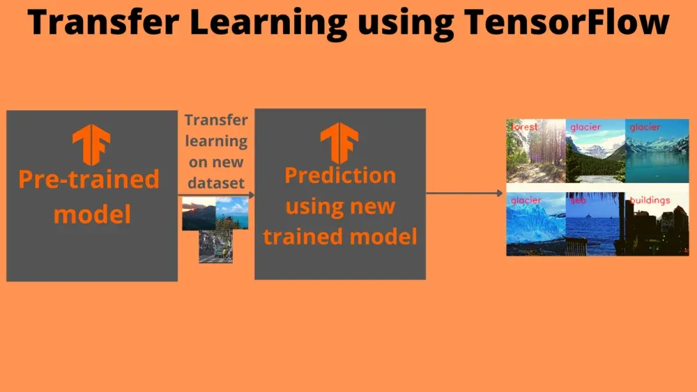 Transfer Learning using tensorflow