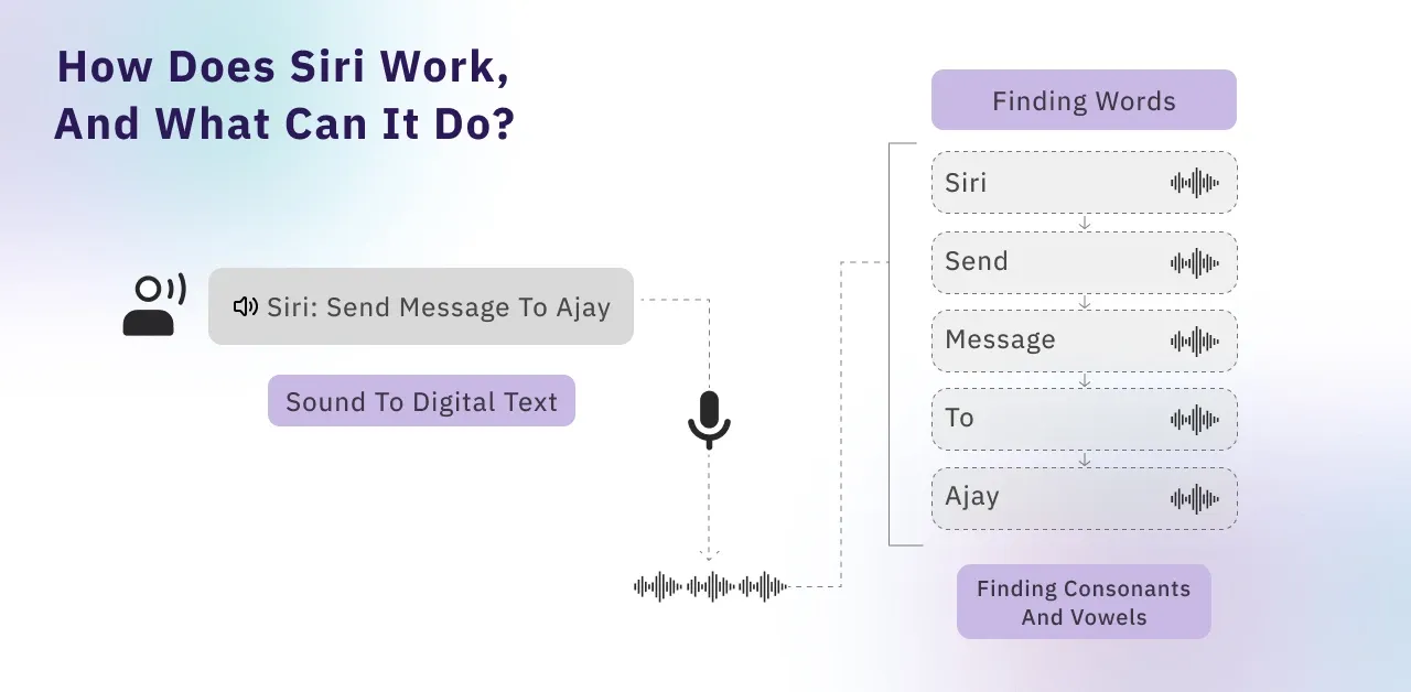 How does Siri Work, And What Can It Do?