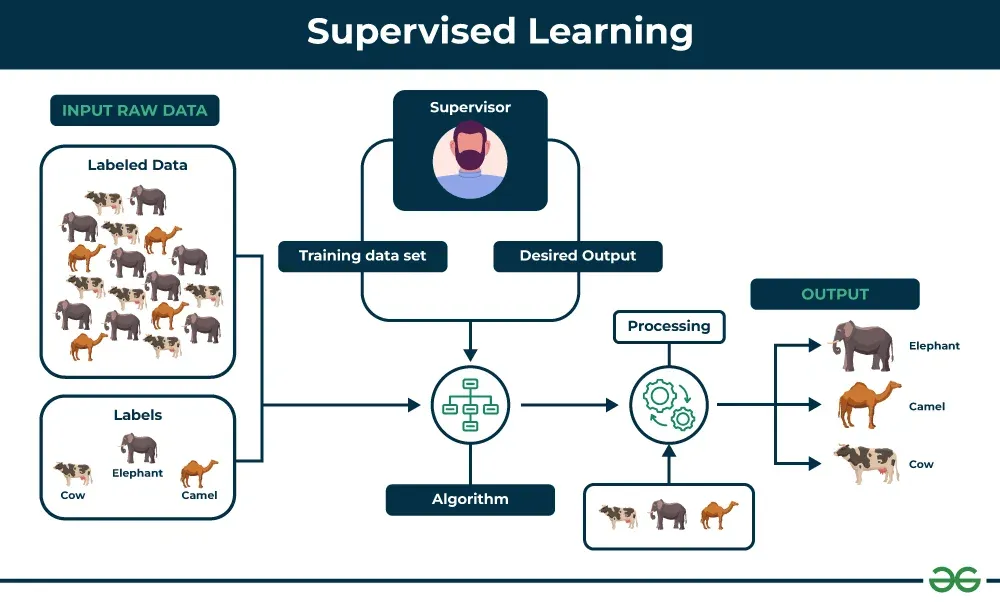 Why Supervised Learning?