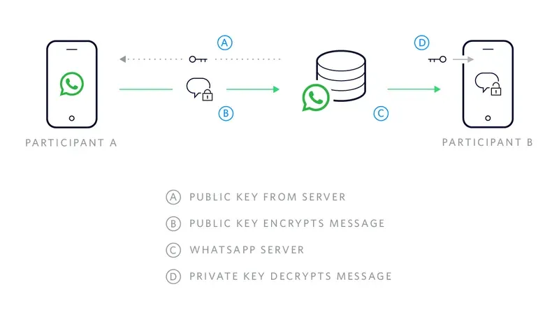 What is WhatsApp Business API?