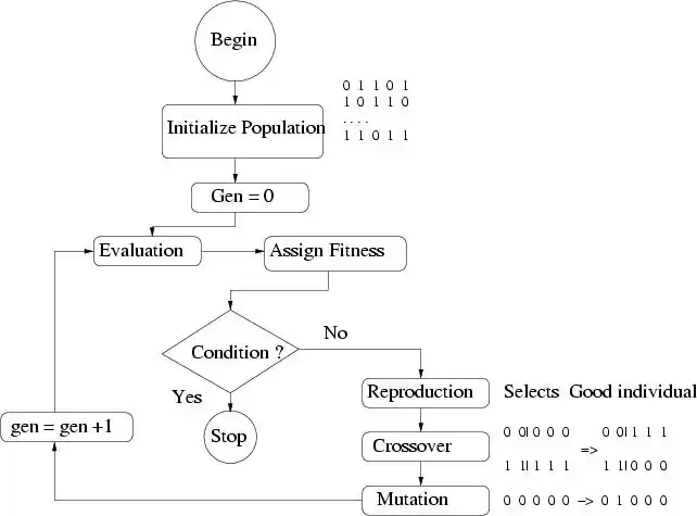 Working Mechanism of Genetic Algorithms