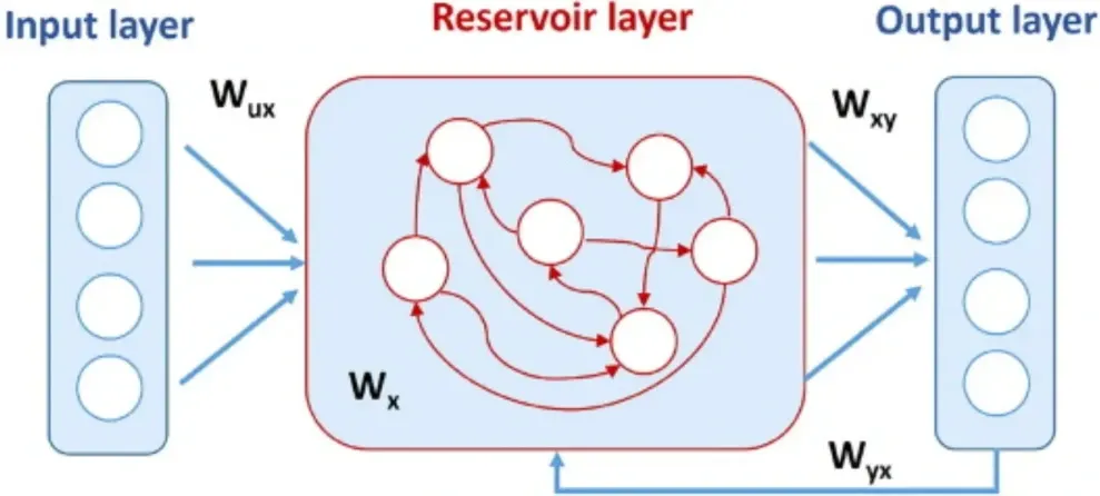 Core Components of an Echo State Network