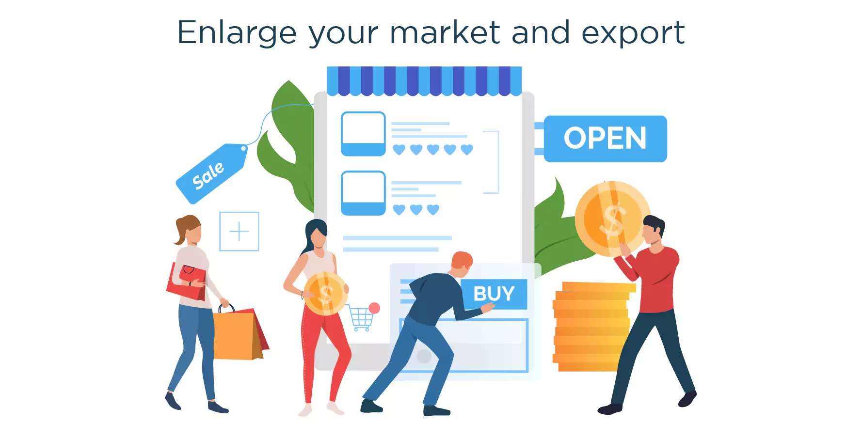 Enlarge your market and export