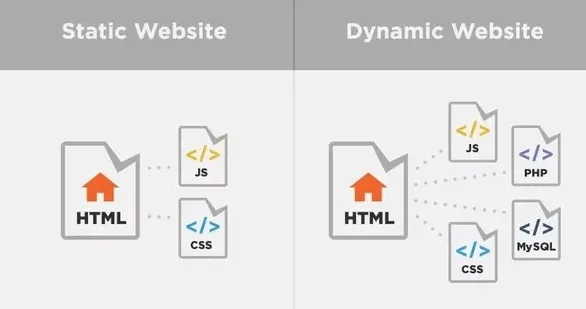 Types of Websites and Their Uses