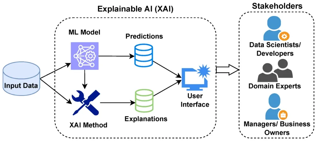 Step-by-Step Process of Explainable AI