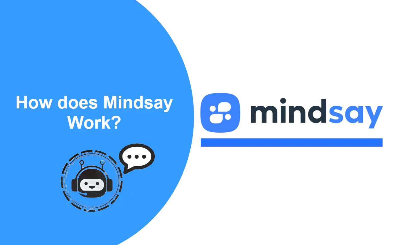 How does Mindsay Work?