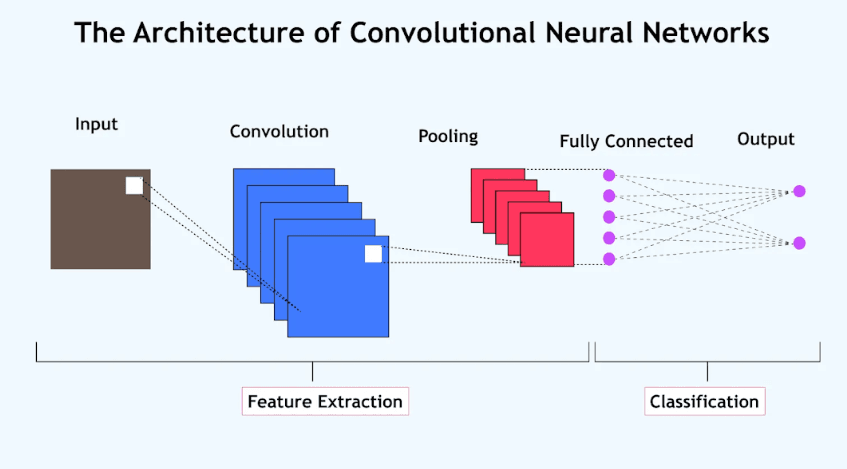 Convolutional Neural Networks (CNNs