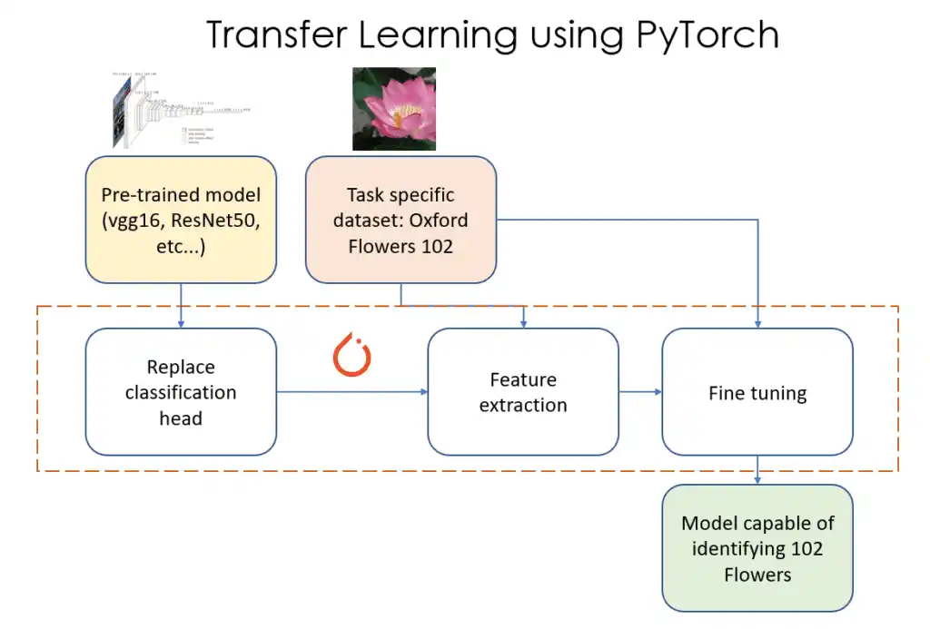 Transfer Learning with PyTorch