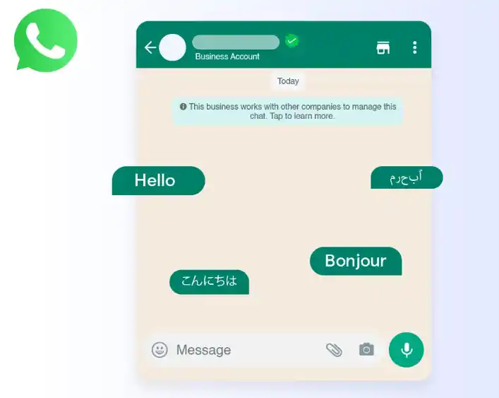 Planning a Multilingual WhatsApp Bot