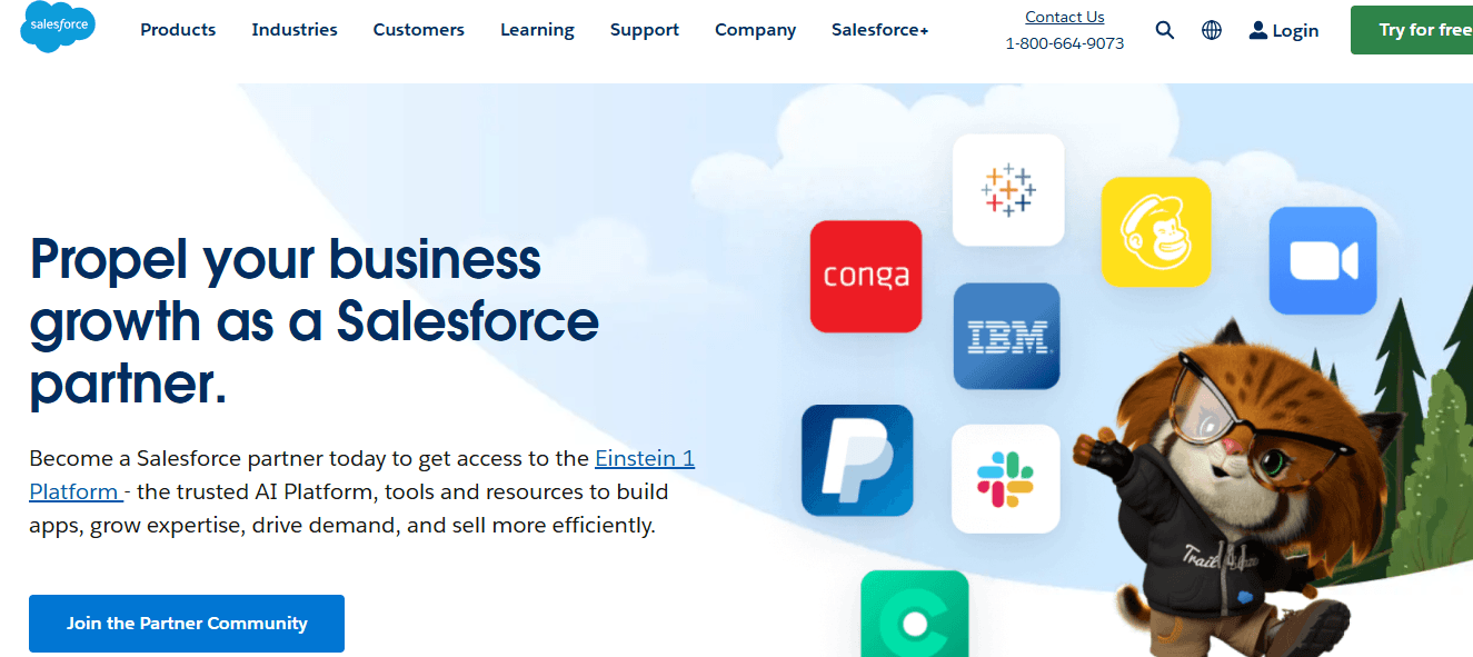 Salesforce Partner Program