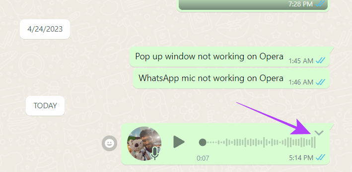 How To Send Voice Messages?