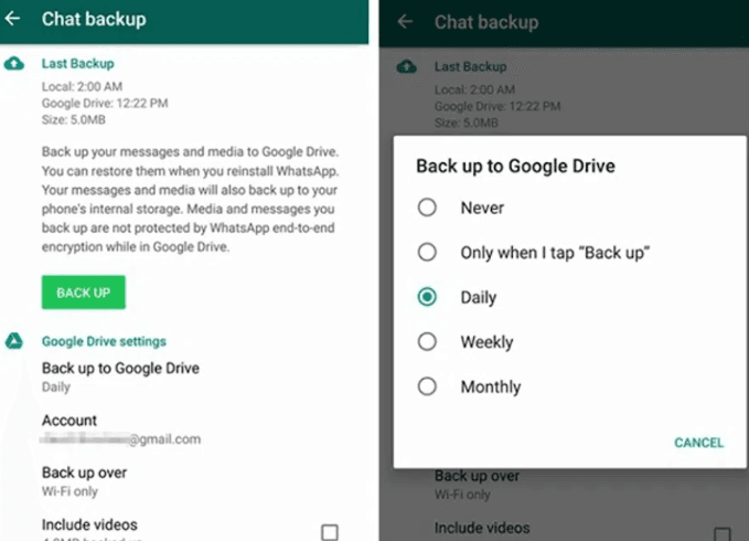 Why Backing Up WhatsApp Business is Essential