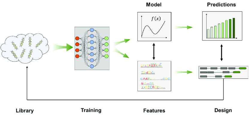 Deep Learning From Databases