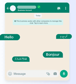 Multilingual Support