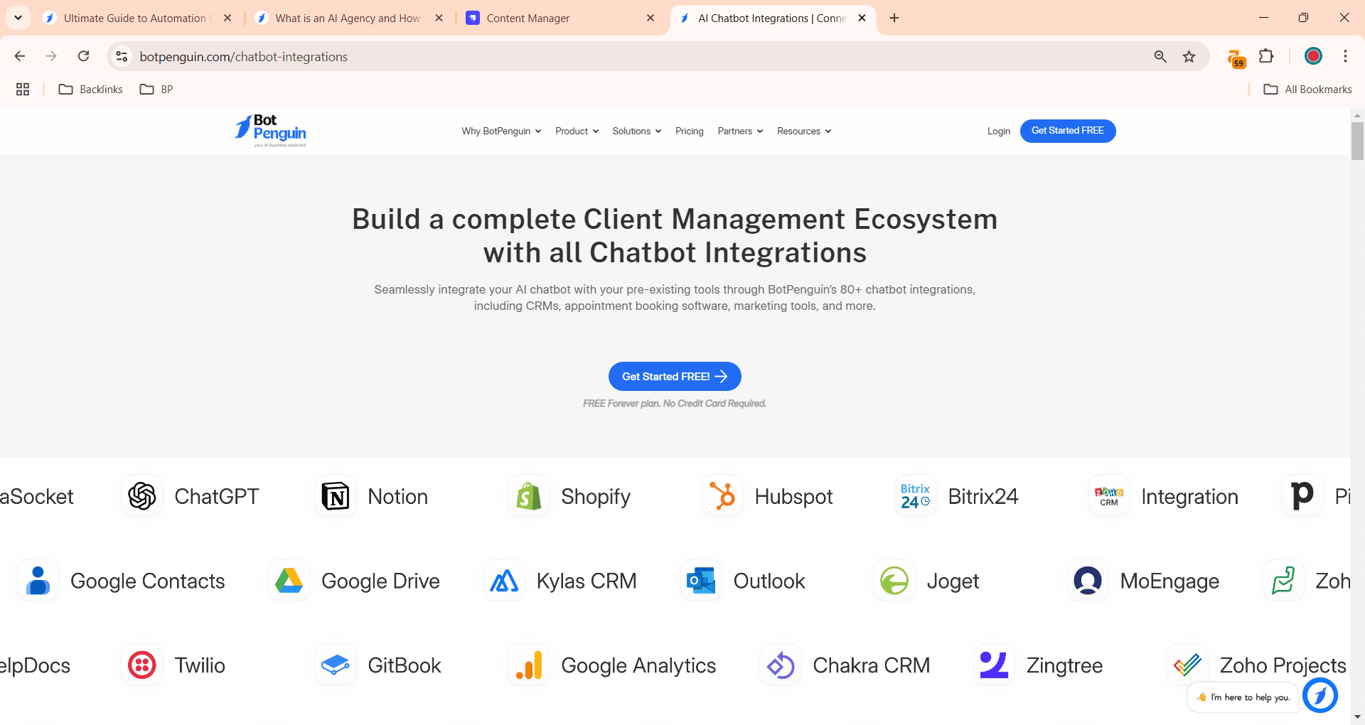 Types of chatbot integrations