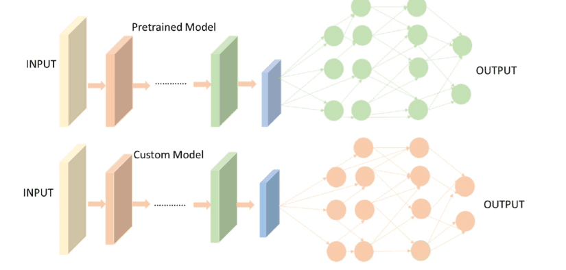 Pretrained vs. Custom Training