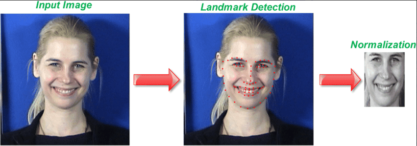 Normalizing and Encoding the Face