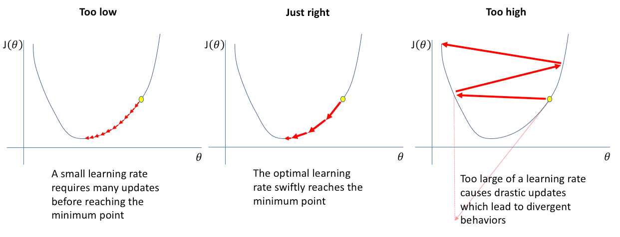 Learning Rate